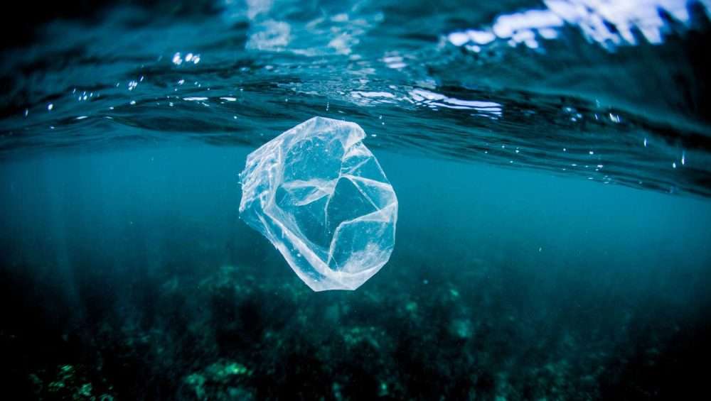 Why should you quit plastic bags??